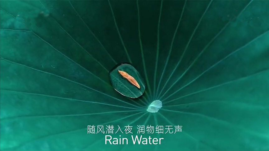 24節(jié)氣-雨水 24節(jié)氣-雨水