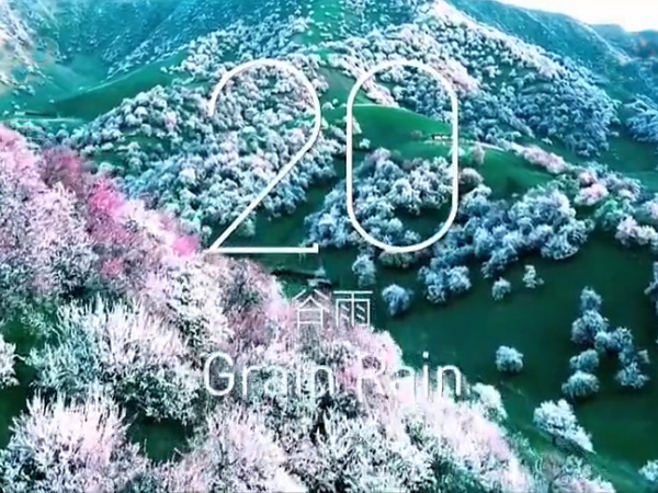 金中宏  24節(jié)氣 -- 谷雨