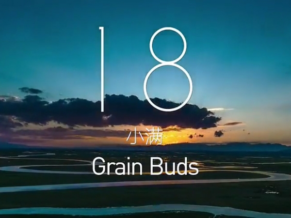 金中宏  24節(jié)氣 -- 小滿