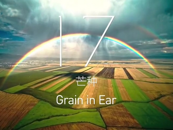 金中宏  24節(jié)氣 -- 芒種