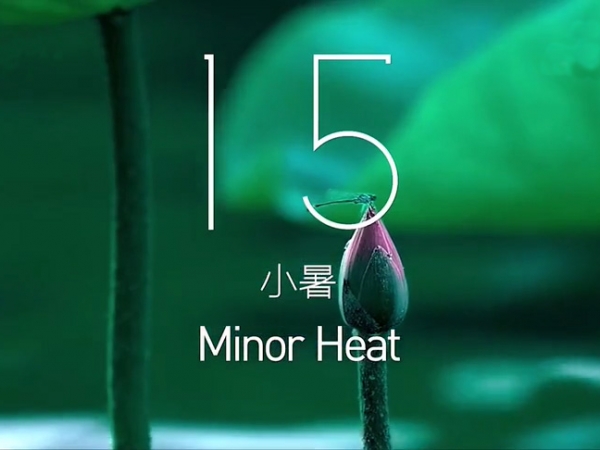 金中宏  24節(jié)氣 -- 小暑