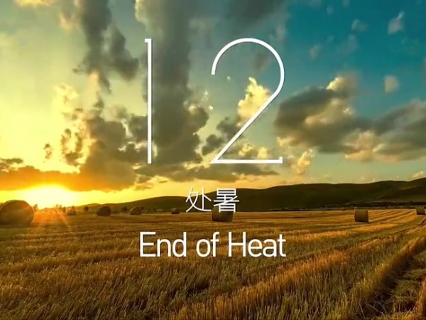 金中宏  24節(jié)氣--處暑