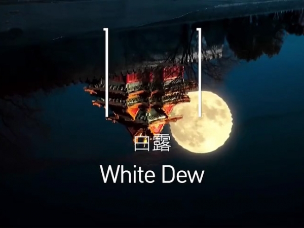 金中宏  24節(jié)氣--白露